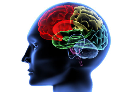 Neurological Conditions Neurological Conditions
