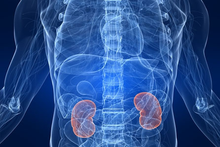Renal Conditions